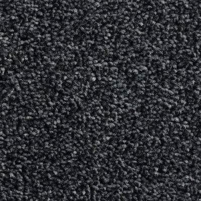 OTIUM Tapis d'Entrée Ligne Noire Raven 130 cm de large