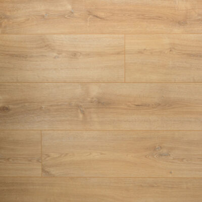 DD Planche extra longue Basilic - 24,3 cm, 4V